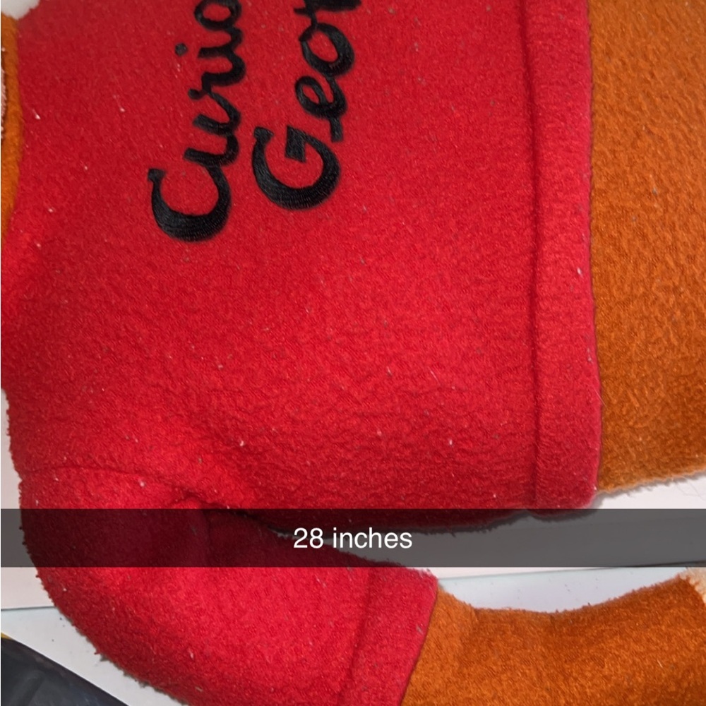 28 “ Curious George - Picture 3 of 3